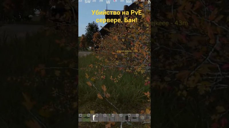 Заказное убийство в dayz #shortsvideo #shortvideo #shorts