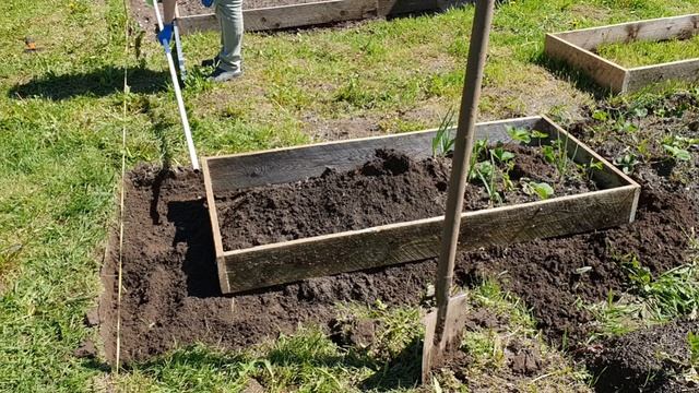 ?КУДА ПРОПАЛИ?ВСЕГО ПО НЕМНОЖКУ....? смотреть онлайн