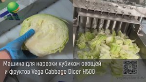 Машина для нарезки кубиком, овощей, фруктов, капусты салата Vega Cabbage Dicer H500 | Нарезка овощей