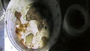 "Я бычок подниму..." - Сводный Гаражный Оркестр