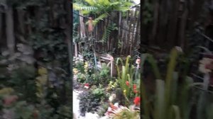 Панама из лоскутов Магнатекс