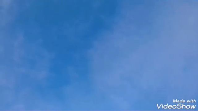 Николаевские голуби Сибири!! Вертикаль!!! смотреть онлайн