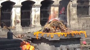 Nepal. Непал. 1 день. Катманду.