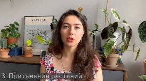 Как помочь растениям пережить жару / 8 полезных советов