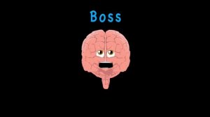 Human Body /Brain Song/Human Body Systems