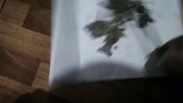 Грязь в стиральной машине смотреть онлайн