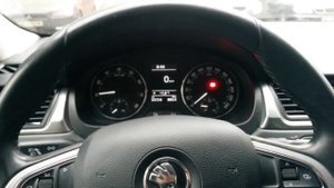 Шкода Рапид и дружаня Стук-Стук