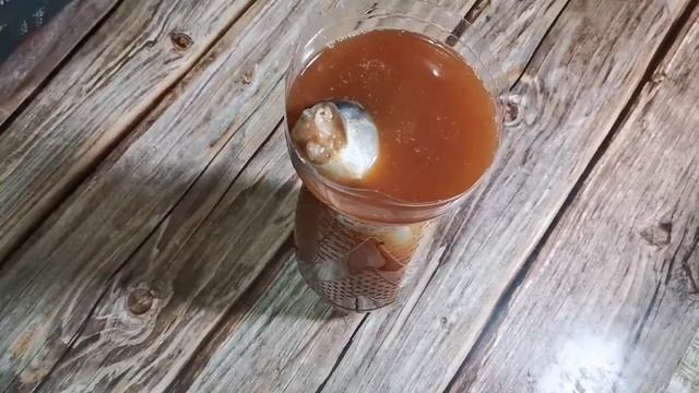 ЗОЛОТАЯ РЫБКА СКУМБРИЯ в Луковой Шелухе Скумбрия в Бутылке Малосольная