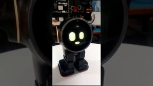Умный робот Ракс с ИИ на русском языке!!! предзаказы к Новому Году