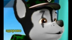 Комикс "новенький"щенячий потруль