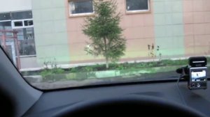 бродяга терпи
