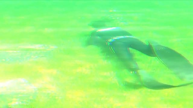 11 Wonderful Places With Most Crystal Clear Water in the World смотреть онлайн