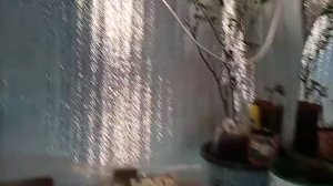 Гроубокс  Обогрев лампами накаливания и освещение