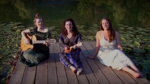 "Ночка луговая" на Грушинской поляне