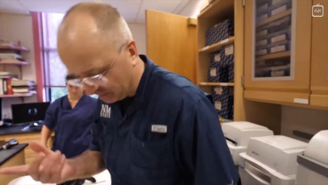 Почему комары кусают именно вас_ [Veritasium](1080P_HD) смотреть онлайн