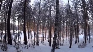 Семейные покатушки на снегоходе Dingo