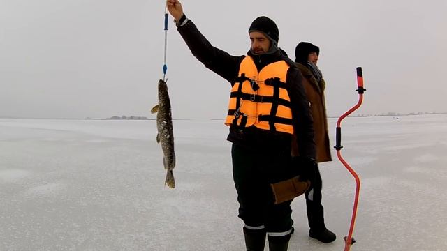 Бешеный клёв щуки на жерлицы. Жерлицы на щуку / Щука зимой смотреть онлайн