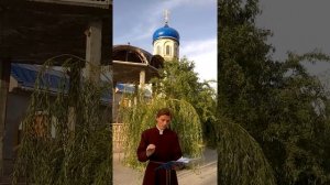 Видео урок № 4 антифон 2