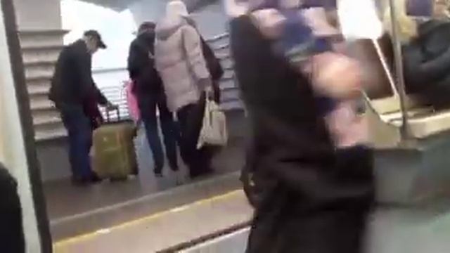 От Купчино до парнас