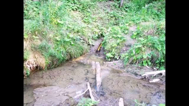 Единственный дом. Родной Дом смотреть онлайн