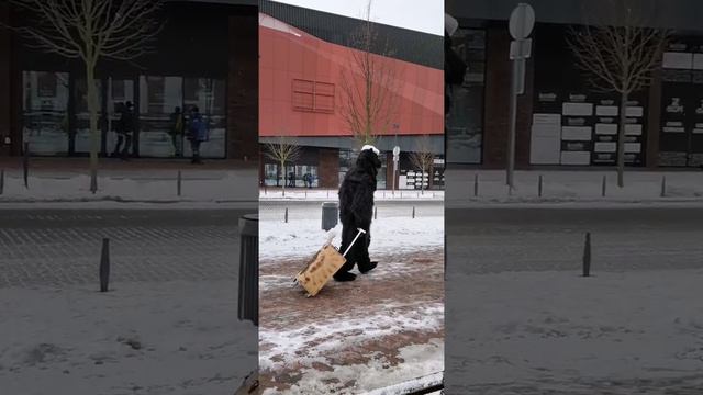 Обычное морозное утро в Калининграде.