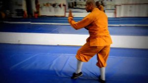 Таолу датунбицюань (Tong Bi Quan), Sal Redner