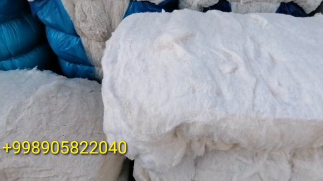 #ПАХТА #НАРХЛАРИ #БАРЧА #ТУРДАГИ ПАХТА НАРХЛАРИ БАРЧА ТУРДАГИ смотреть онлайн