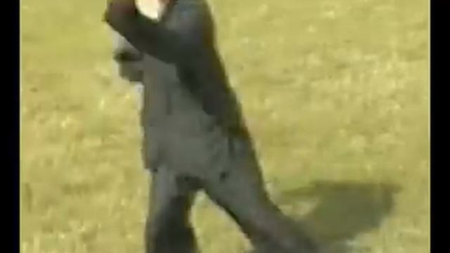 Taiyi Huolong Palm смотреть онлайн