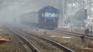 Animals Hit By Trains So Hard 🔥⚠️ || Compilation Videos