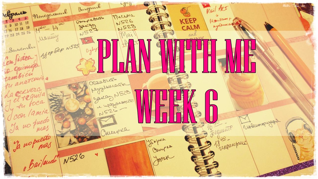 PLAN WITH ME WEEK 6 / Как я веду ежедневник / 6 неделя