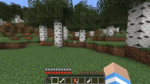 обзор мода на supernatural на 1.16.5 Minecraft