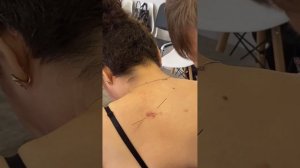 Обучение методике «Цветок сливы», Сергей Павлюков