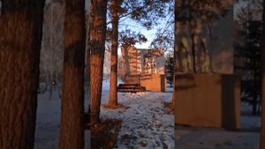 Подсосново Немецкий национальный район🌾И это Россия🇷🇺 Алтайский край🌾😍