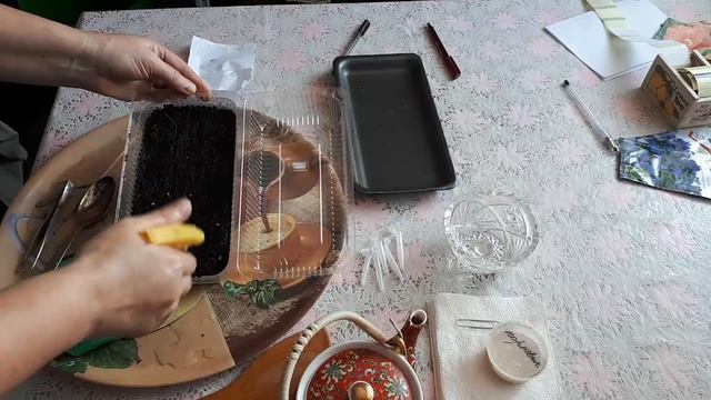 Начинаем  Выращивание БАКЛАЖАН из семян. Как Выращивать Баклажаны Рассадой. Посев семян на рассаду