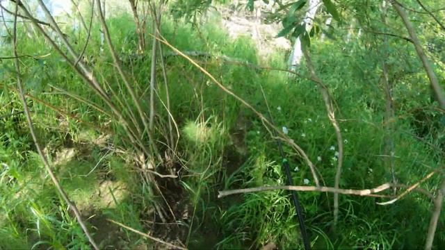 ОДИН 2 ДНЯ НА РЕКЕ БЕЛЫЙ ИЮС!!! ХАКАСИЯ!!! ХАРИУС ГОРЯЧЕГО КОПЧЕНИЯ!!! УХА!!! ТАЙГА!!! РЫБАЛКА! смотреть онлайн