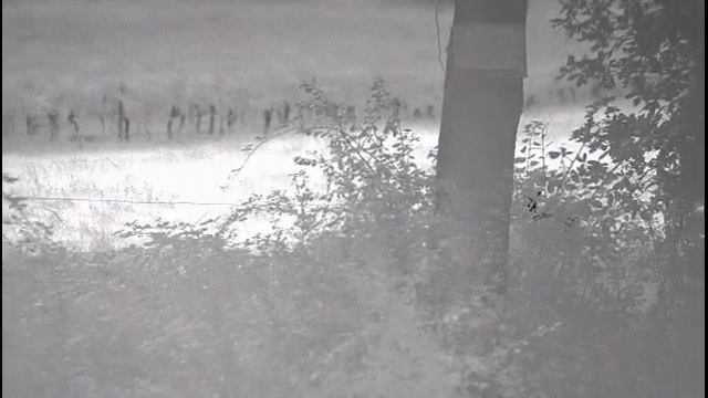 Accolade LRF Jumelles thermique PULSAR смотреть онлайн