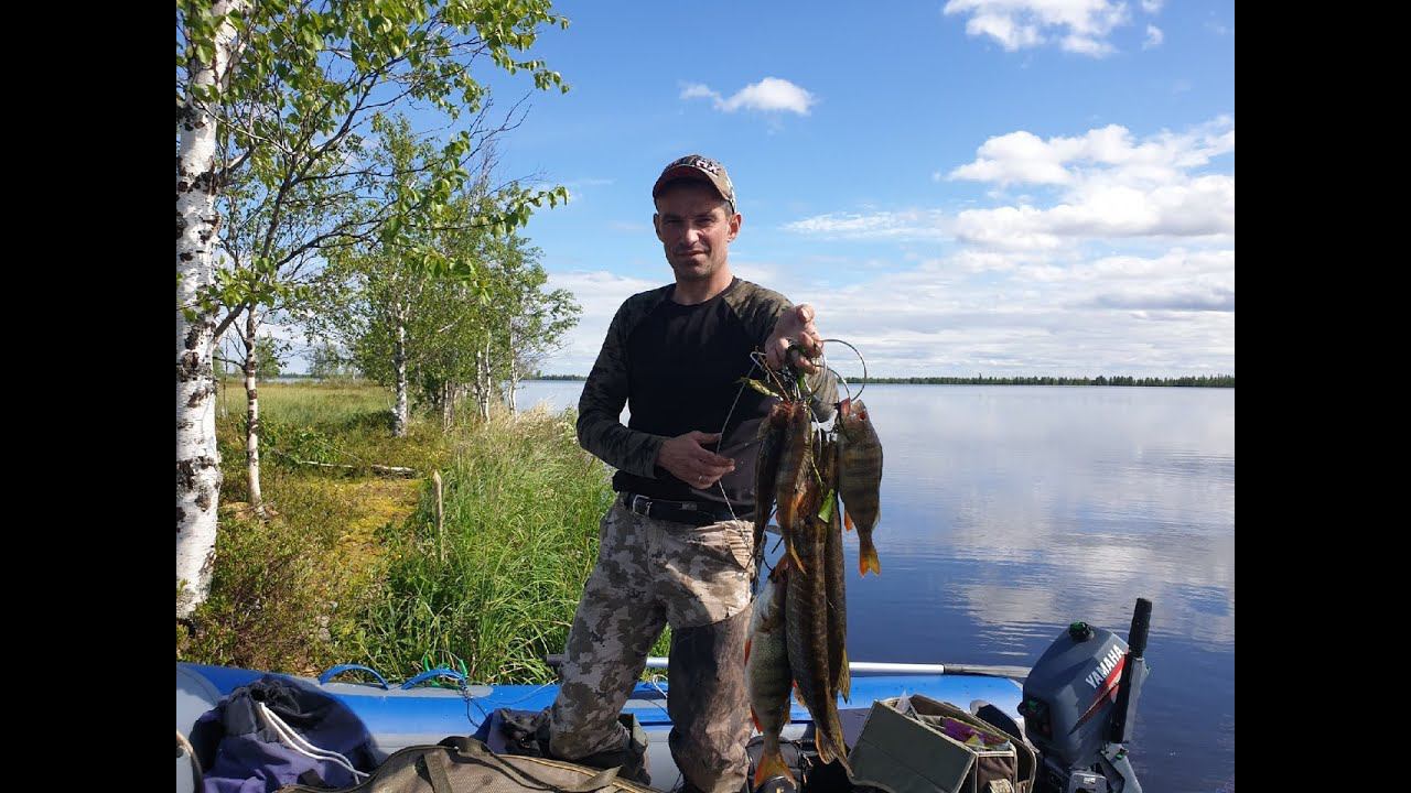 ЭТО ТАЁЖНОЕ ОЗЕРО УДИВИЛО НАС РАЗМЕРАМИ ОКУНЕЙ.РЫБАЛКА НА СПИННИНГ.