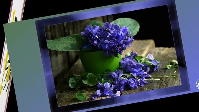 Весенние цветы# Очень красивые открытки# Прекрасная музыка