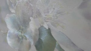 КрасноДар.Ремонт 2комн квартира 56квм ЖК Губернский.Наша Работа.