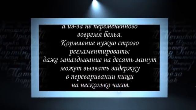 Сердце, отданное людям... Флоренс Найтингейл