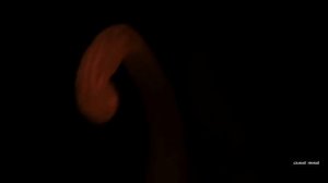 Зачем мыть руки?