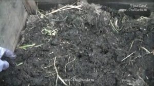 Как сделать самый быстрый компост.Компостный ящик или компостер!.mp4