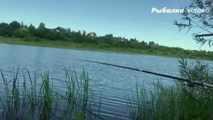 ЛОВЛЯ ПЛОТВЫ ОСЕНЬЮ НА манная болтушку