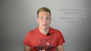 Нечеткая логика- это женская логика?! Как это так?