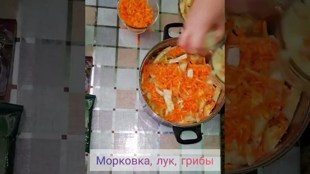 Тушёная картошка !  Но не обычная , а с  мясом, грибами и квашеной капустой !