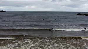 Осенний серфинг или как не замерзнуть в холодной воде.