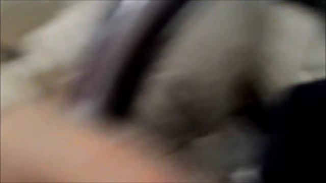 ПРАНК в метро.. предлогаем купить мозги смотреть онлайн