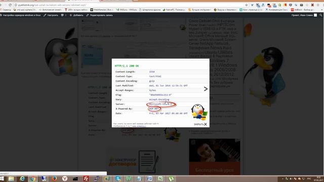 Как узнать на каком веб сервере работает сайт смотреть онлайн