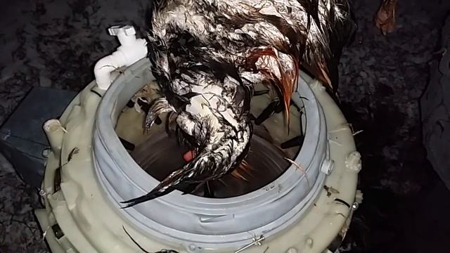 перосъемная машина из стиральной машины смотреть онлайн