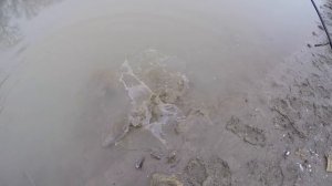 Зимняя РЫБАЛКА в Краснодарском крае